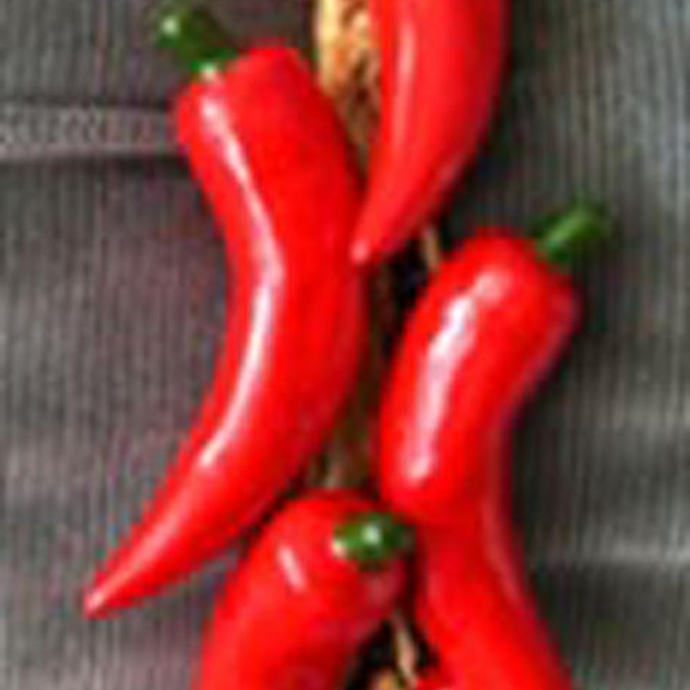 NEW Vintage Ceramic Chiles
